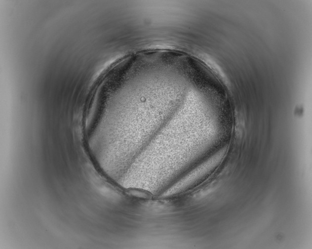 X0000090450386200707272220