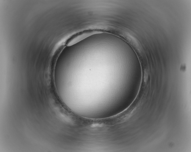 X0000090450388200707272220