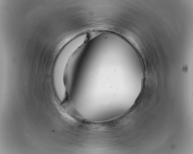 X0000090450389200707272220