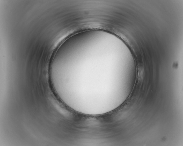 X0000090450390200707272220