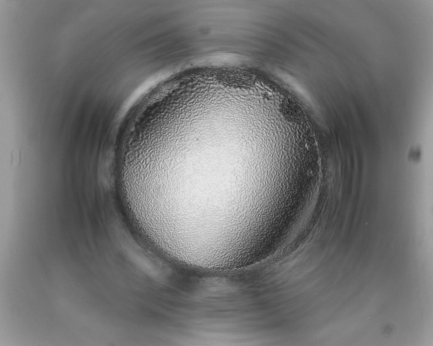 X0000090450392200707272220