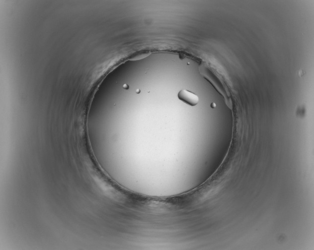 X0000090450393200707272220