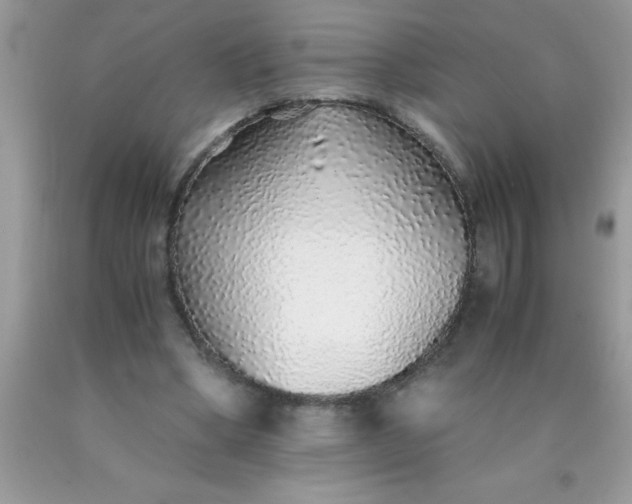 X0000090450394200707272220