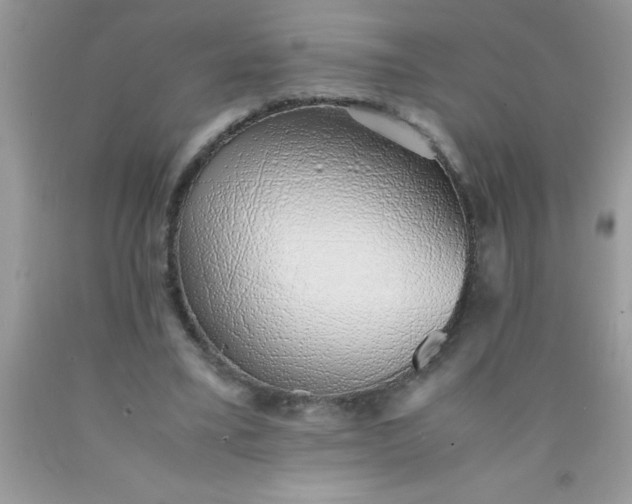 X0000090450395200707272220