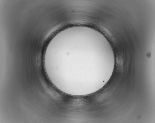 X0000090450396200707272220