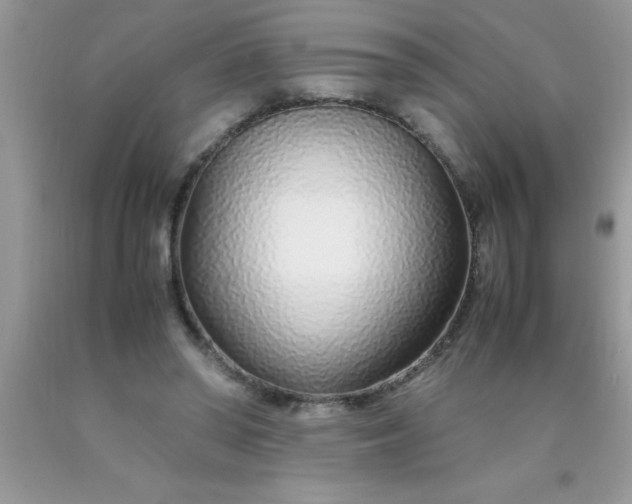 X0000090450398200707272220