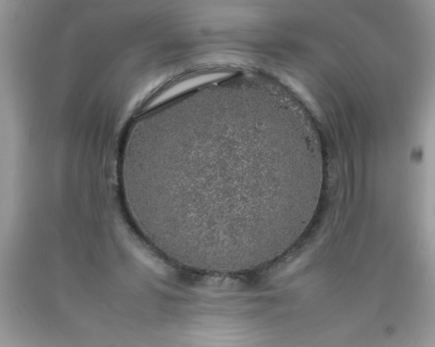 X0000090450399200707272220