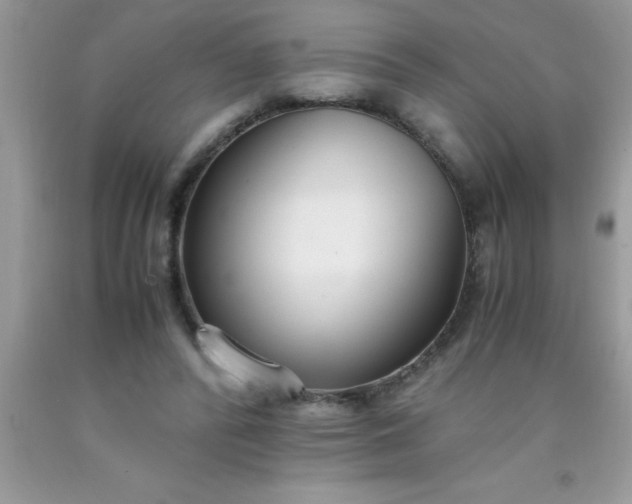 X0000090450400200707272220