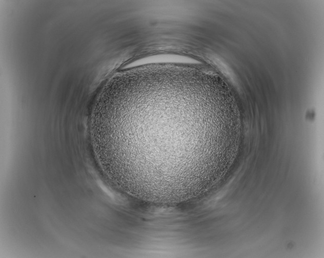 X0000090450401200707272220