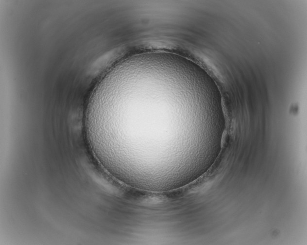 X0000090450402200707272220