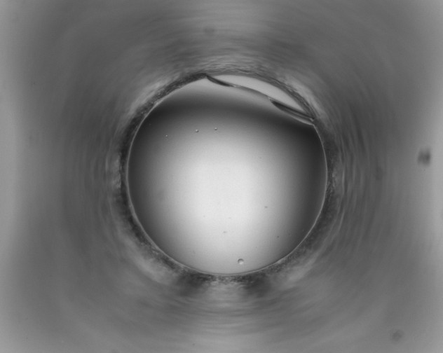 X0000090450403200707272220