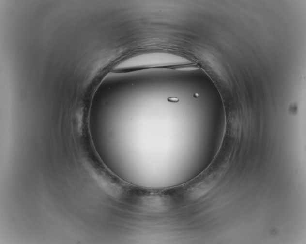 X0000090450404200707272220