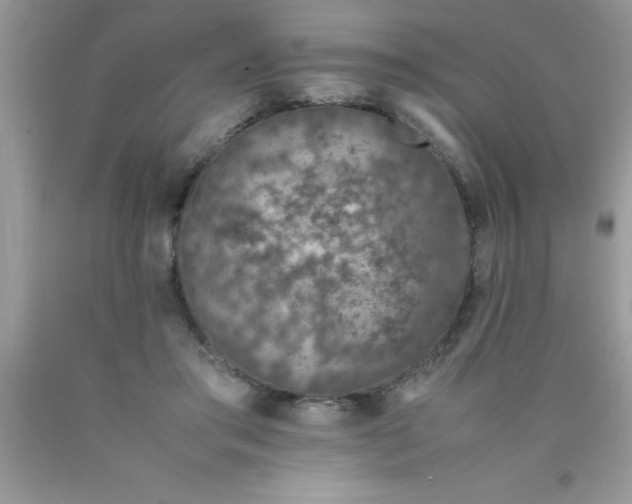 X0000090450405200707272220