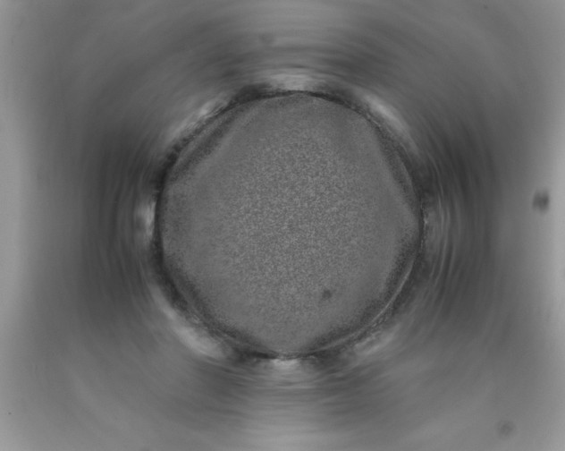 X0000090450406200707272220