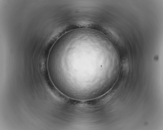 X0000090450408200707272220