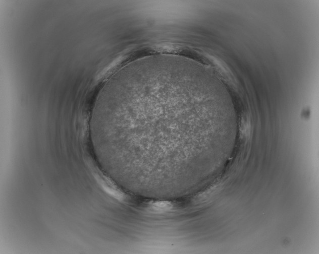 X0000090450409200707272220