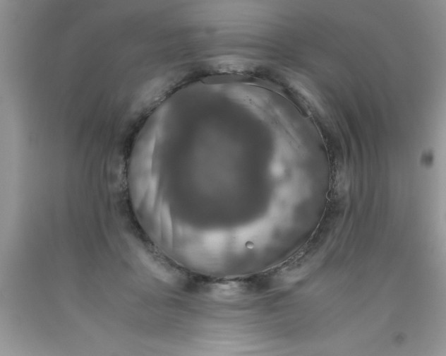 X0000090450411200707272220