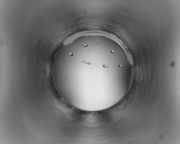 X0000090450412200707272220