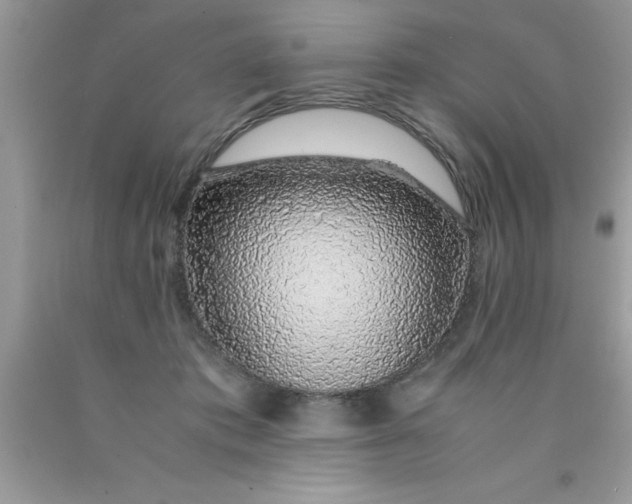 X0000090450413200707272220