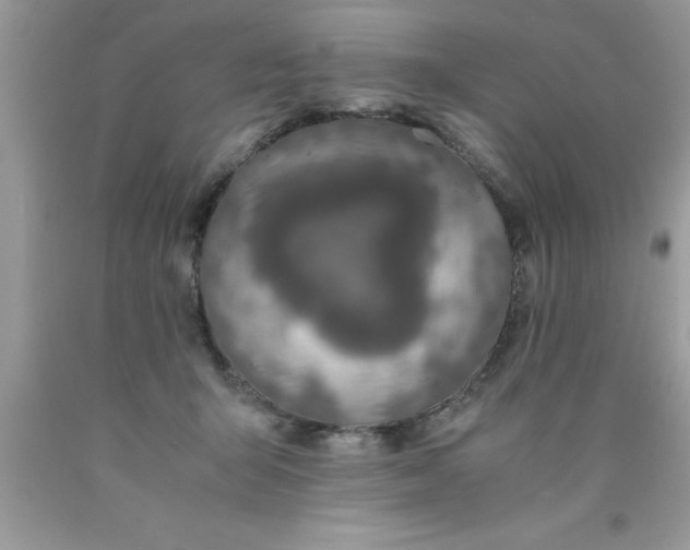 X0000090450415200707272220