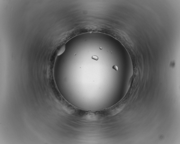 X0000090450416200707272220