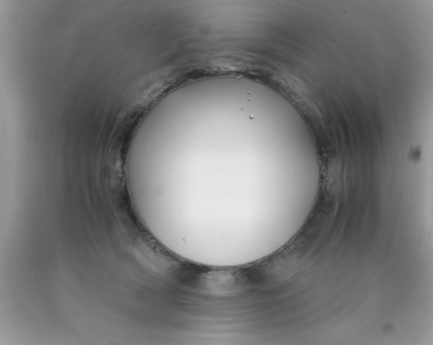 X0000090450418200707272220