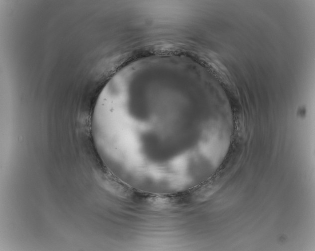 X0000090450419200707272220