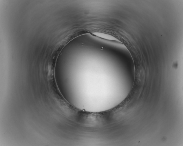 X0000090450420200707272219