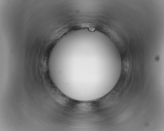 X0000090450422200707272219