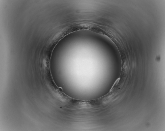 X0000090450424200707272219