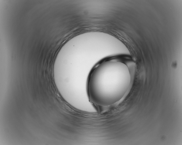 X0000090450425200707272219