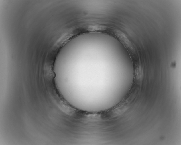 X0000090450426200707272219