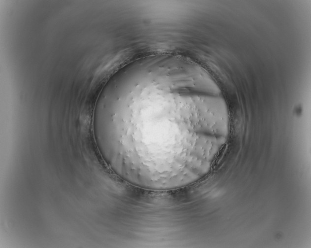 X0000090450427200707272219