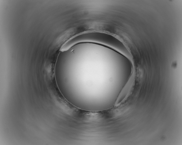 X0000090450428200707272219