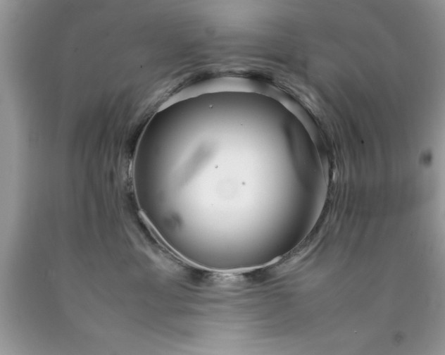 X0000090450429200707272219