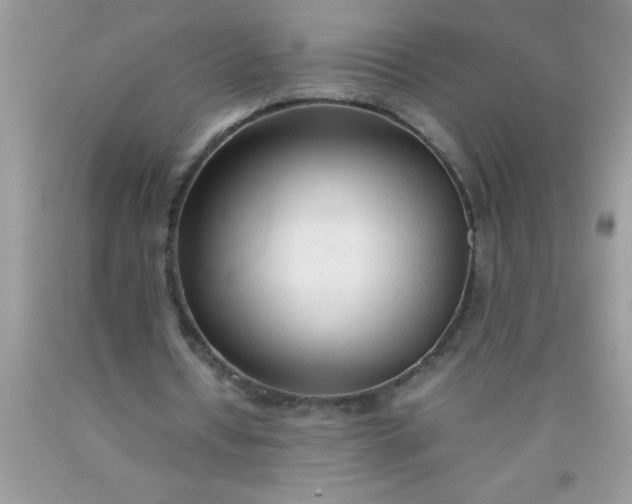 X0000090450434200707272219