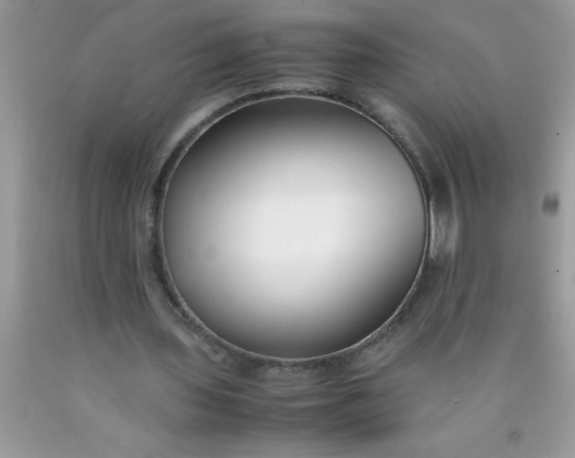 X0000090450435200707272219