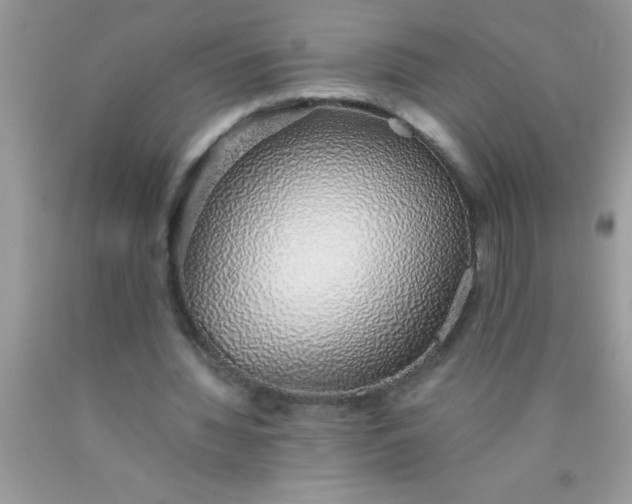 X0000090450436200707272219