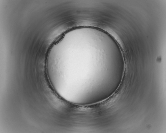 X0000090450437200707272219