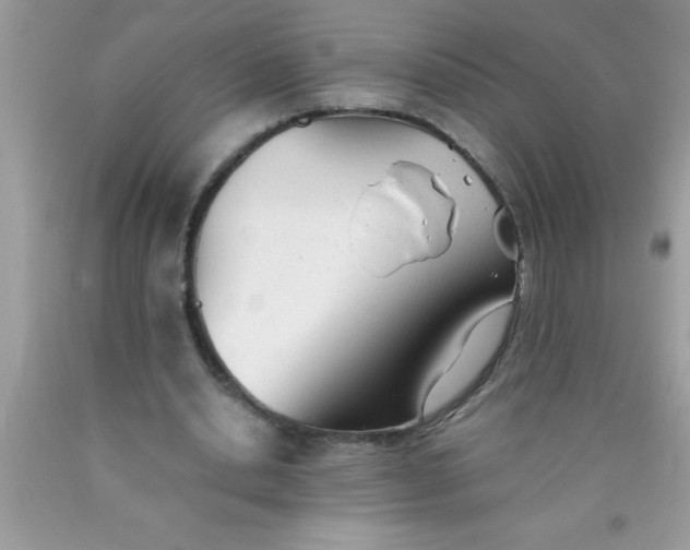 X0000090450438200707272219