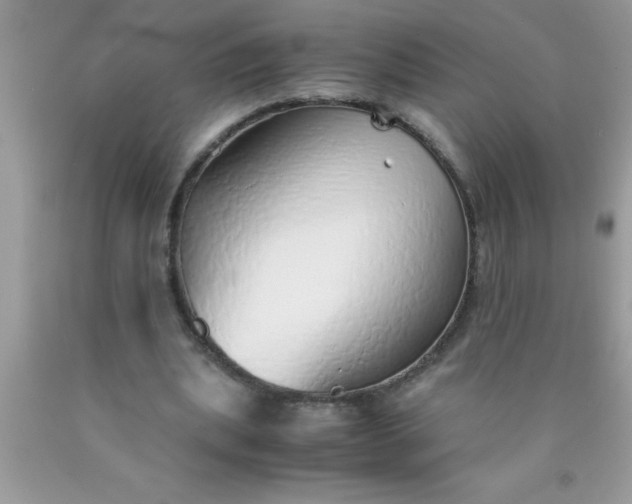 X0000090450439200707272219