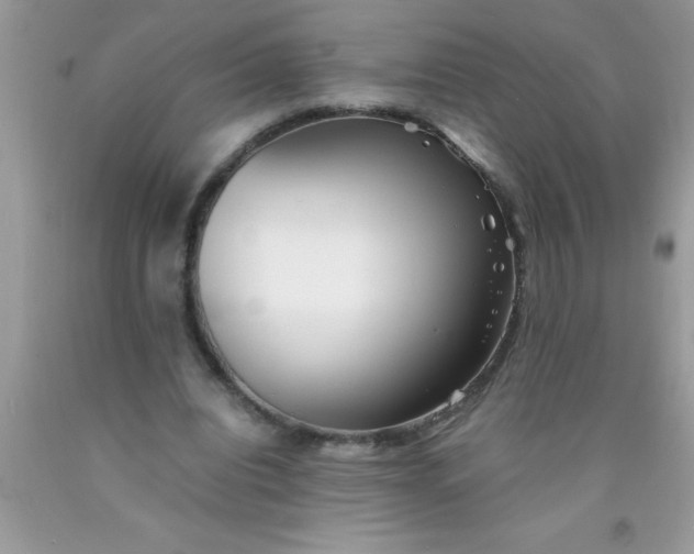 X0000090450440200707272219