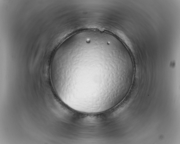 X0000090450441200707272219