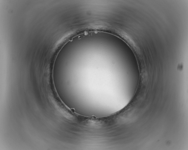 X0000090450442200707272219