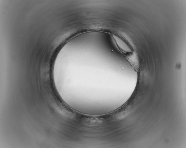 X0000090450443200707272219