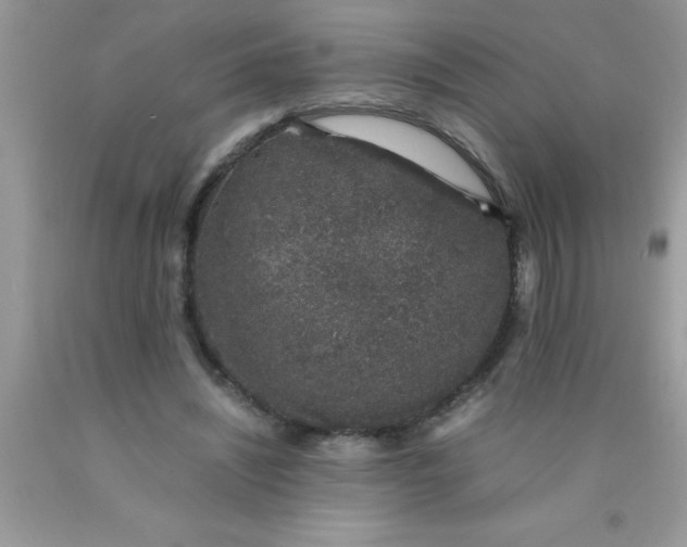 X0000090450444200707272219