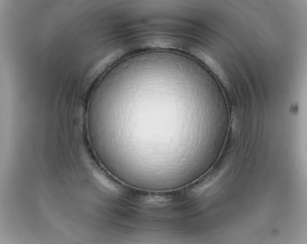 X0000090450445200707272219