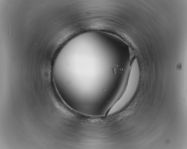 X0000090450446200707272219