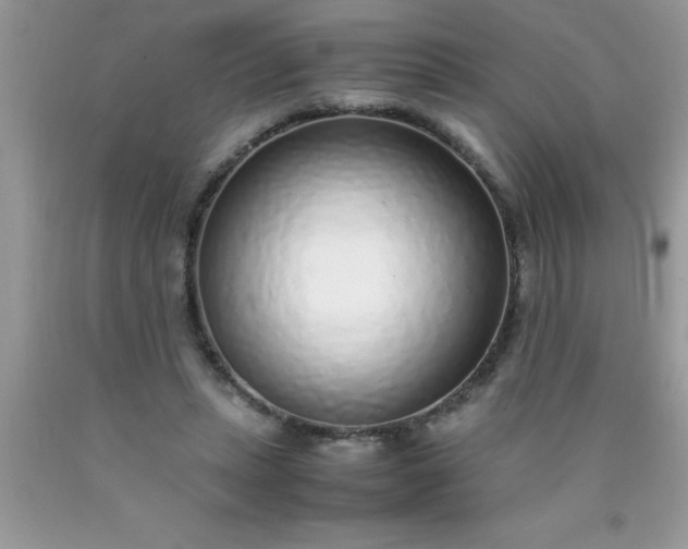 X0000090450447200707272219