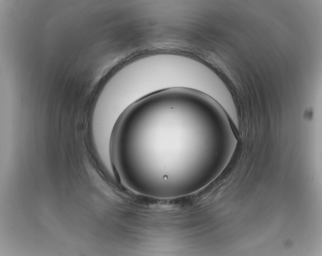 X0000090450448200707272219